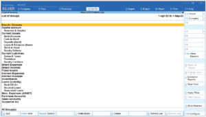 Tallyprime Assignment Account Groups Creation Tallyprime Book