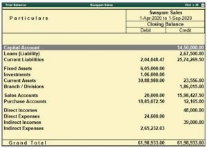 trial balance report sap software